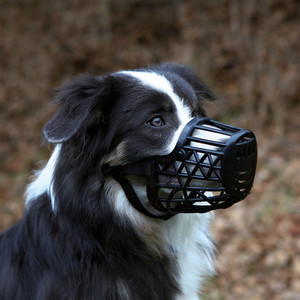 Kaganiec plastikowy dla psów  XS - XL