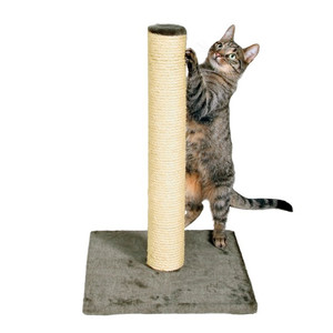 Drapak dla kota - słupek sizalowy z pluszową podstwką, 62 cm