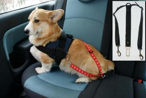 Pasy bezpieczeństwa dla psów - dwupunktowe M/L/XL