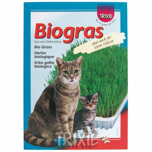 Trawa dla kociąt i kotów dorosłych w pojemnku Biogras