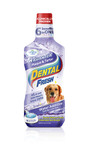 Preparat do higieny jamy ustnej Dental Fresh Kamień & Osad 237/503 ml