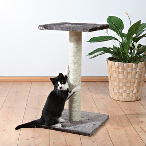 Drapak dla kotów - słupek na podstawce z legowiskiem 69 cm, Espejo