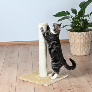 Drapak dla kota - słupek sizalowy z pluszową podstwką, 62 cm