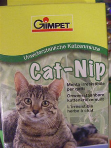 Kocia mięta - wabik dla kotów Cat-Nip